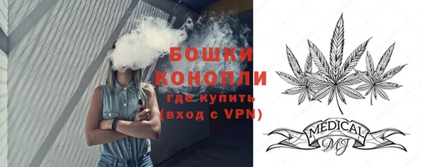 дживик Арсеньев