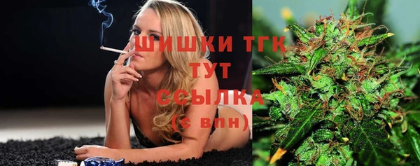 дживик Арсеньев